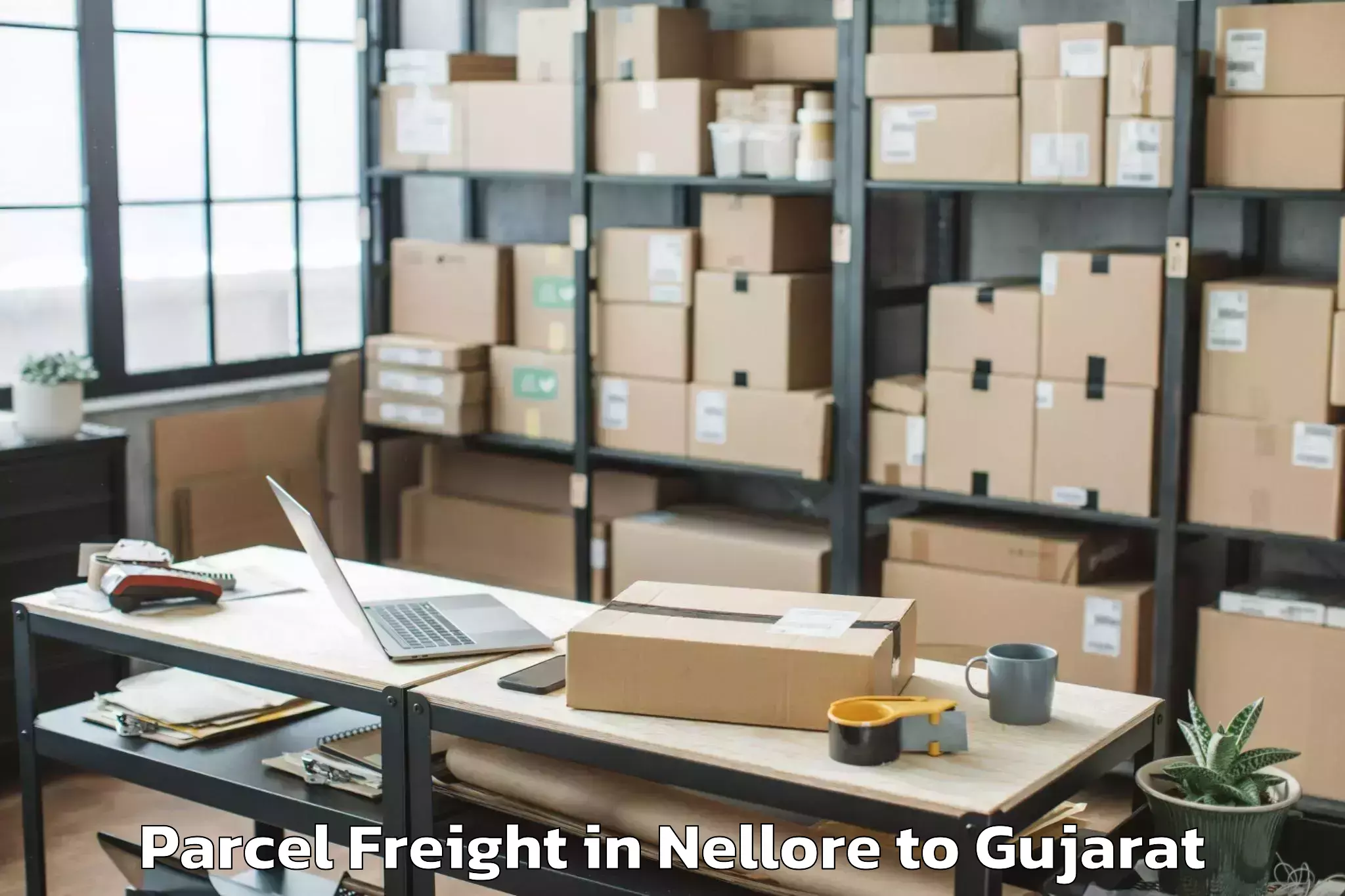 Reliable Nellore to Karnavati University Gandhinag Parcel Freight